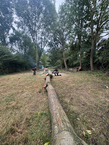 Emergency Tree Services