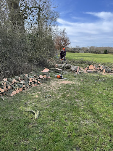 Site Clearance