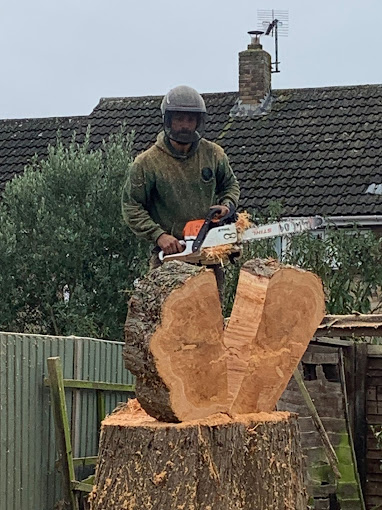 Stump Grinding